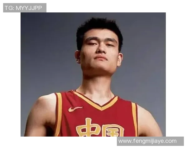 姚明集团地址及周边环境详解助您轻松找到目的地 姚明集团地址及周边环境详解助您轻松找到目的地