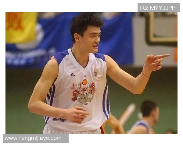 厦门姚明锋：探索篮球与文化交融的新篇章与未来发展之路