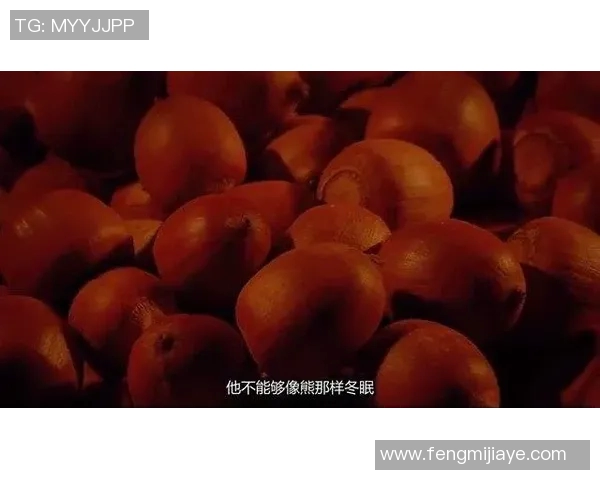 芭比假姚明引发热议网友热评玩具与体育的奇妙结合