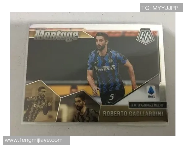 意甲赛场上的顶级足球明星盘点与他们的辉煌成就分析