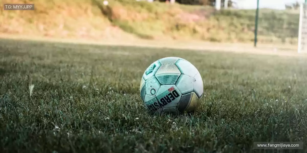 🎯专业装备,点燃你的运动激情!